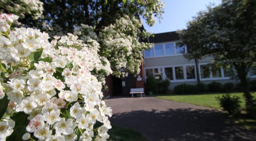 Eingangsbereich Blumen