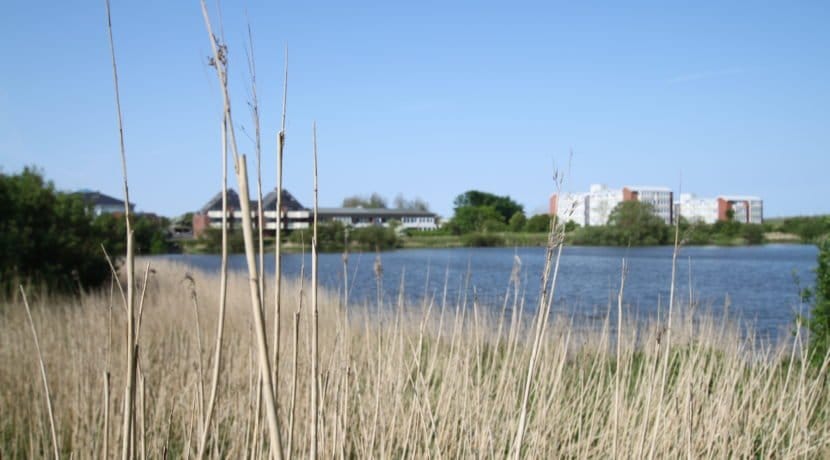 Frontansicht vom See 2