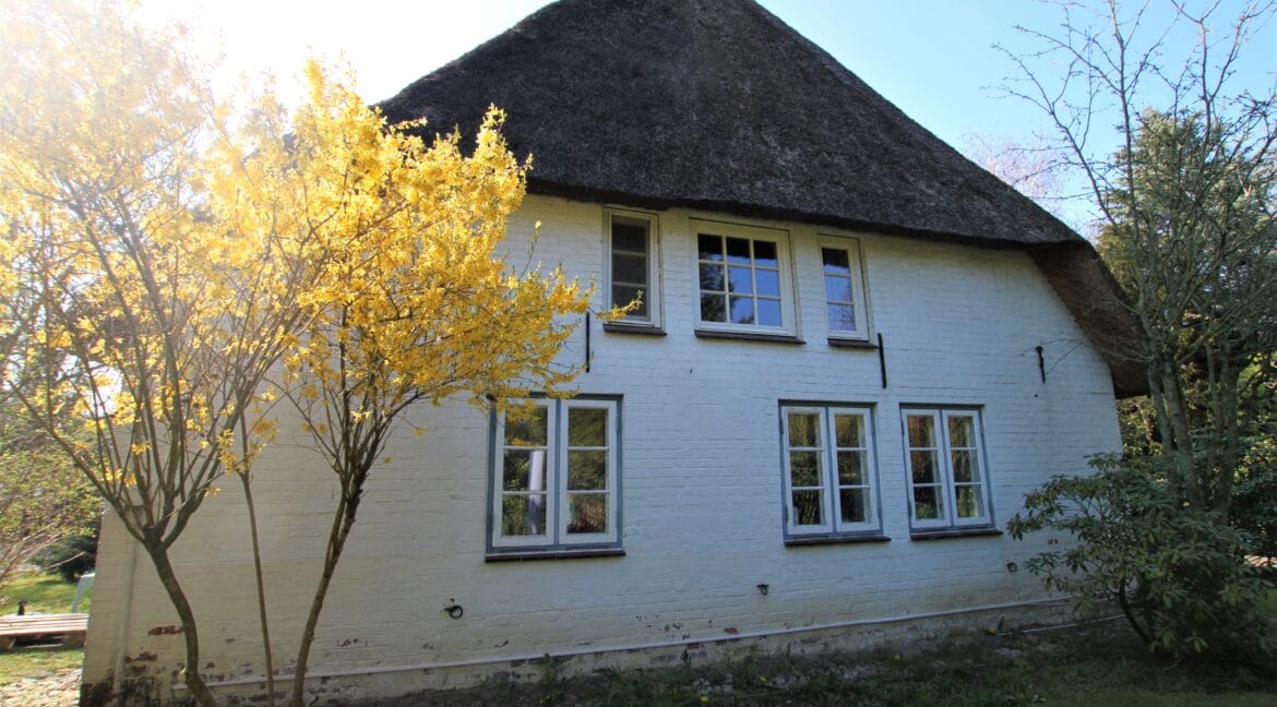 Seitenansicht 2