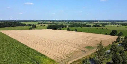 Landwirtschafts u.- Forstfläche Viöl