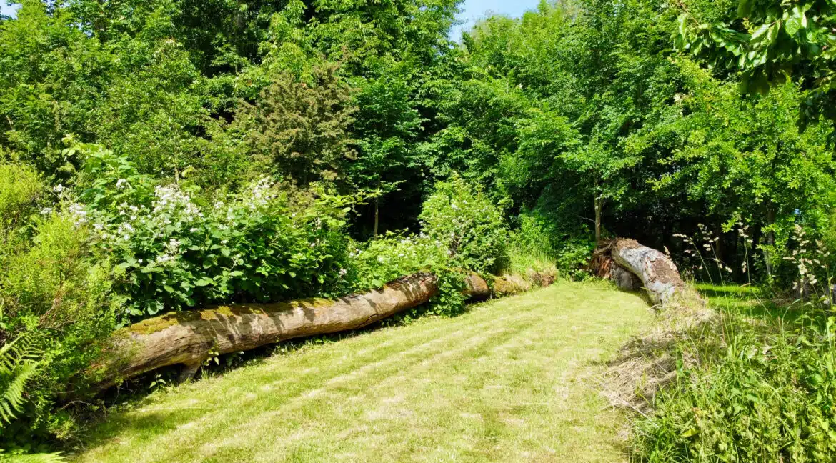 Foto 20.06.25, 11 12 24