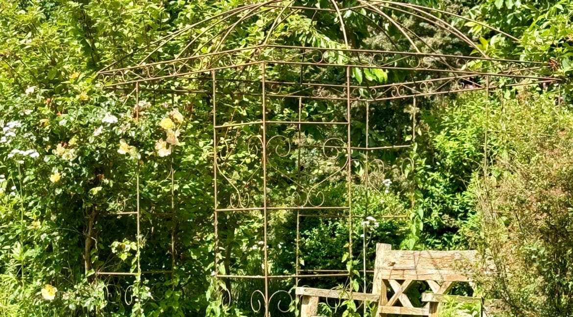 Foto 20.06.25, 11 24 25