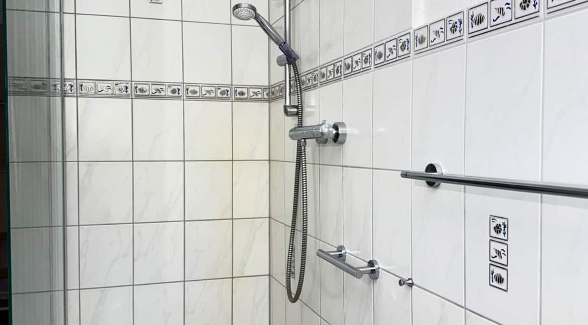 Haupthaus EG Bad ebenerdige Dusche