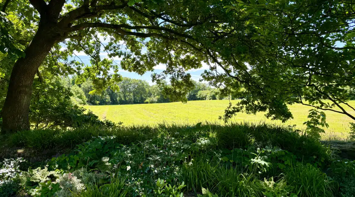 Blick auf die Felder.