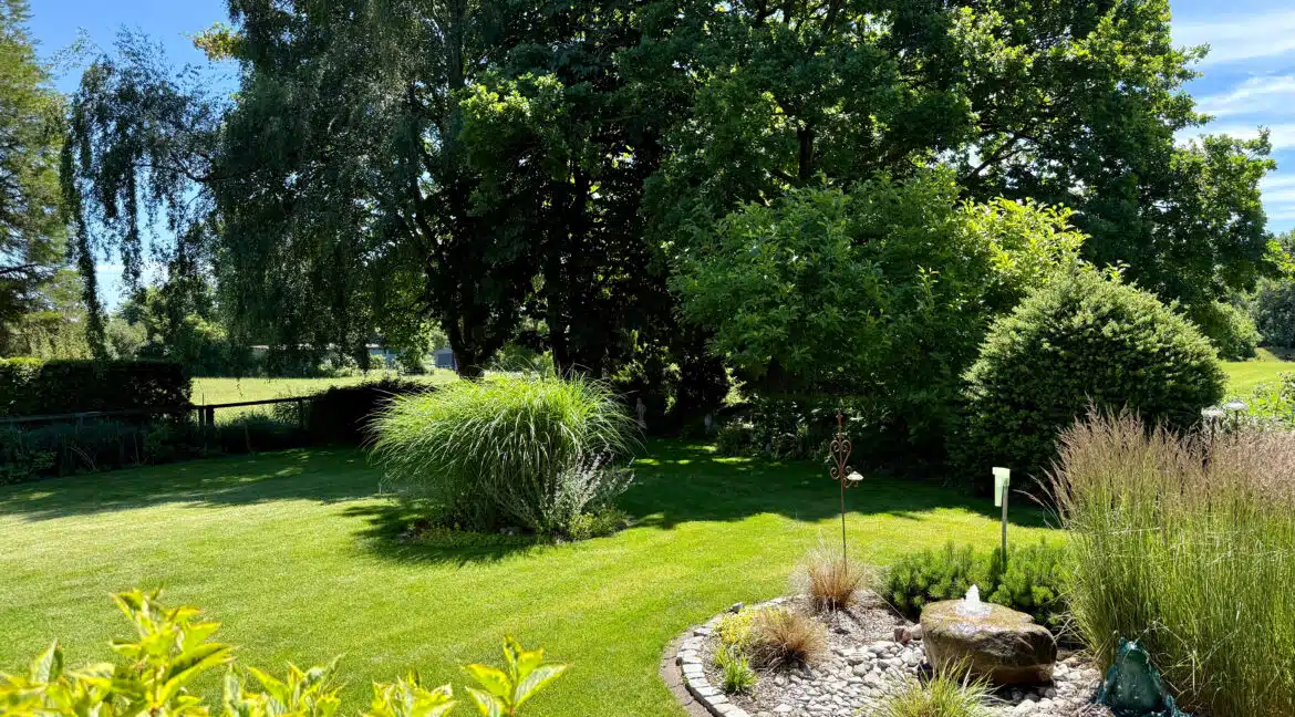 Blick in den Garten