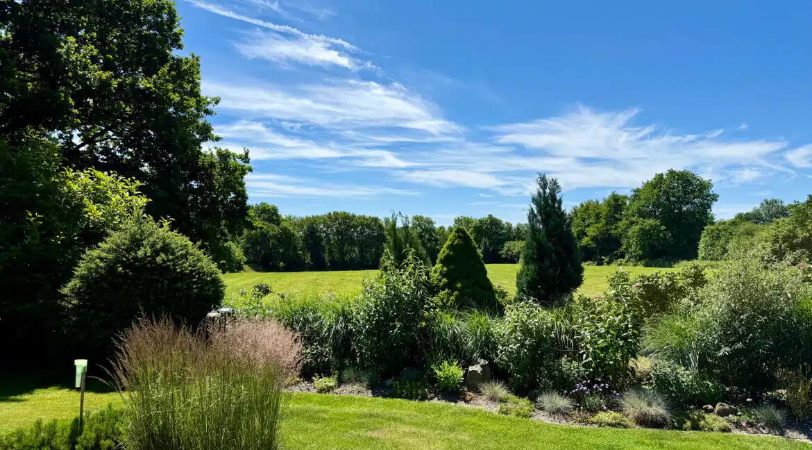 Blick von der Terrasse