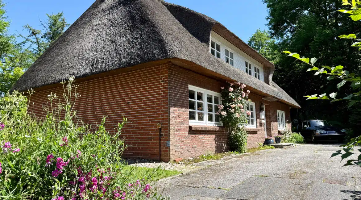 Seitenansicht